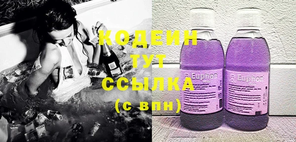 стаф Пересвет