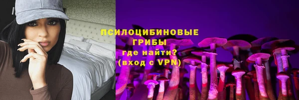 стаф Пересвет