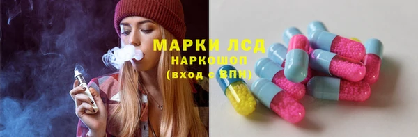 стаф Пересвет