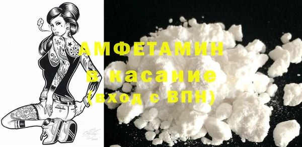 стаф Пересвет