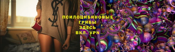 стаф Пересвет